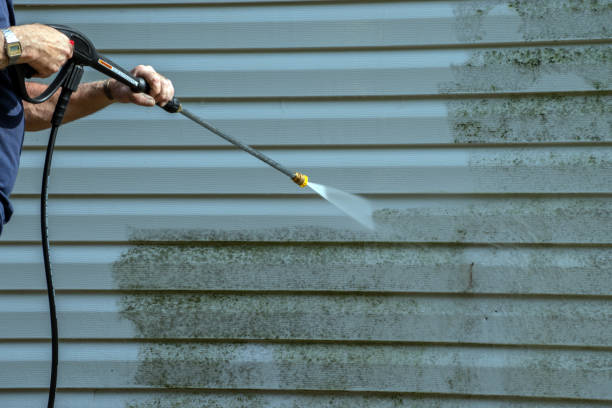 Best Roof Power Washing Services  in Fruitland Park, FL