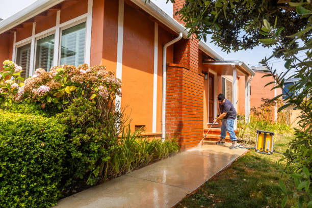 Best Affordable Pressure Washing  in Fruitland Park, FL